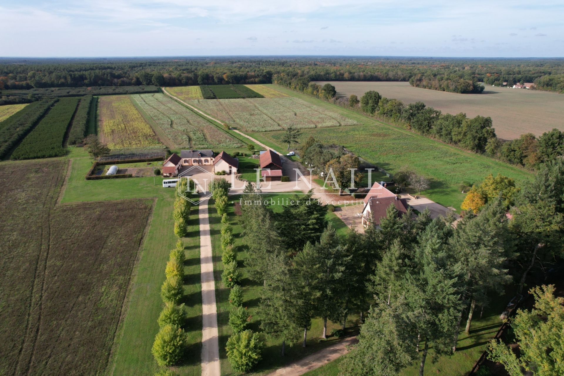 Domaine de chasse de 80 hectares en Sologne à vendre à PRESLY