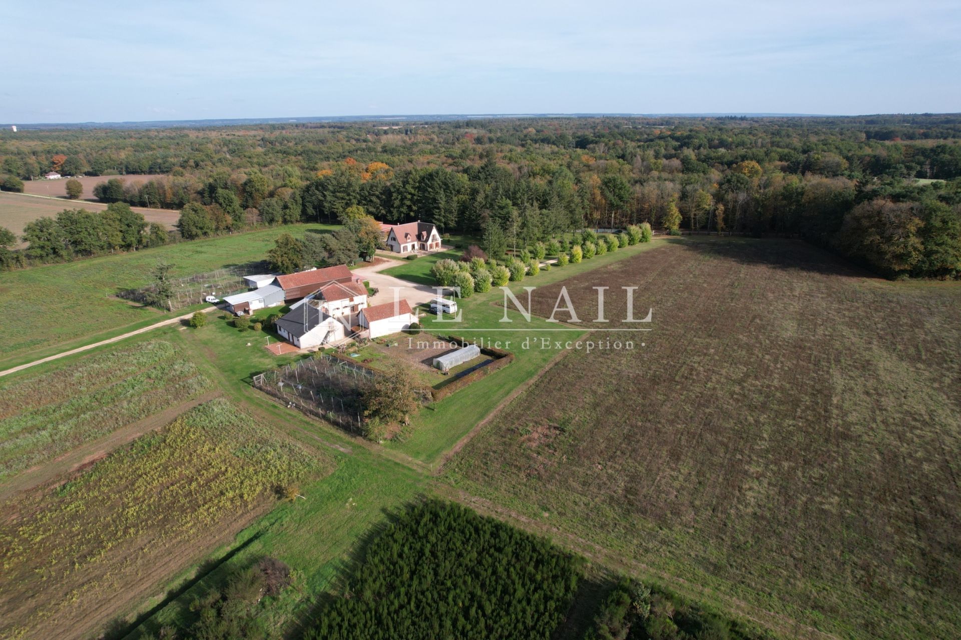 Domaine de chasse de 80 hectares en Sologne à vendre à PRESLY