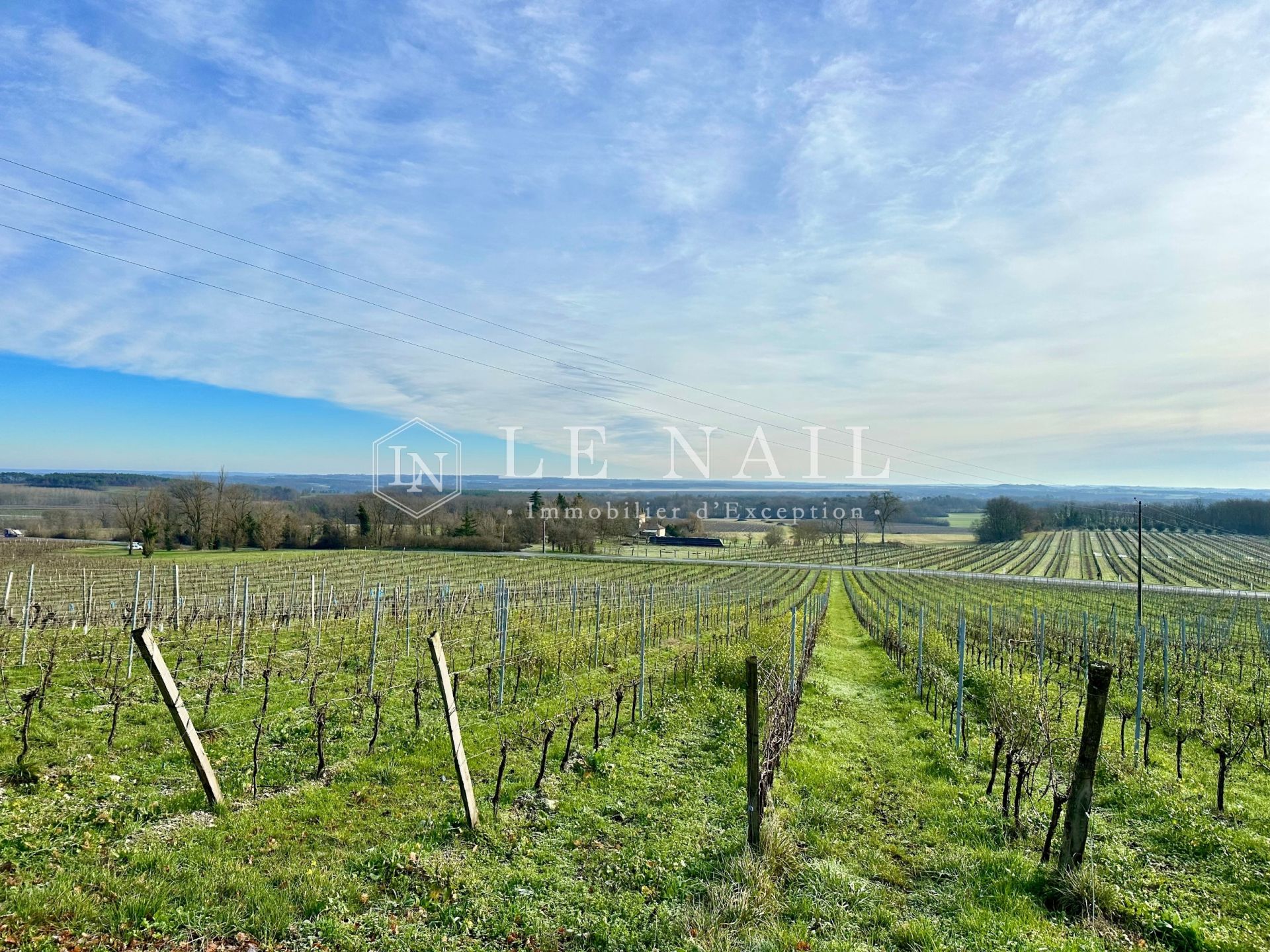 wine estate for sale on BERGERAC (24100)