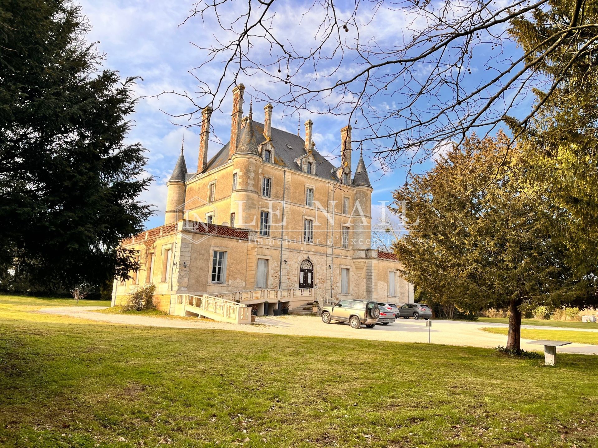 château 16 pièces en vente à CHANTONNAY (85110)