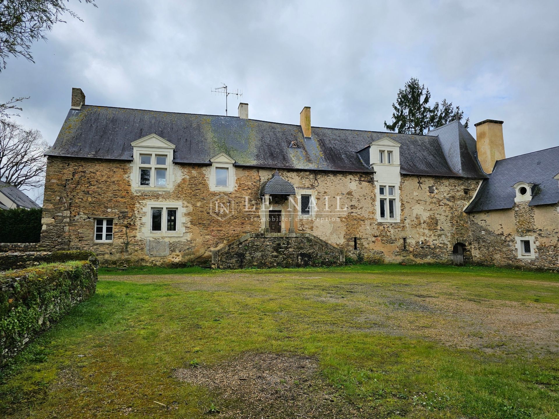 manor house 10 rooms for sale on SEGRE EN ANJOU BLEU (49500)