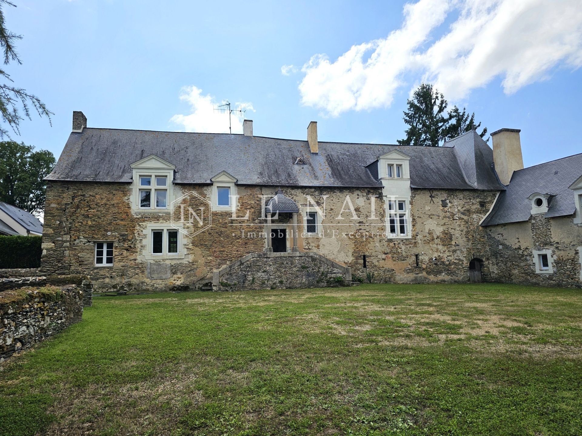 manor house 10 rooms for sale on SEGRE EN ANJOU BLEU (49500) manor house 10 rooms for sale on SEGRE EN ANJOU BLEU (49500)