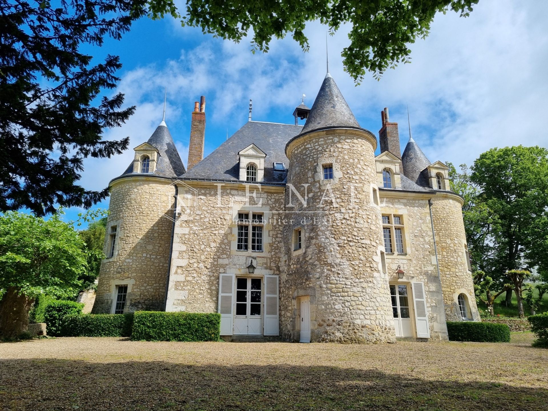 château 20 pièces en vente à CHATEAU DU LOIR (72500)