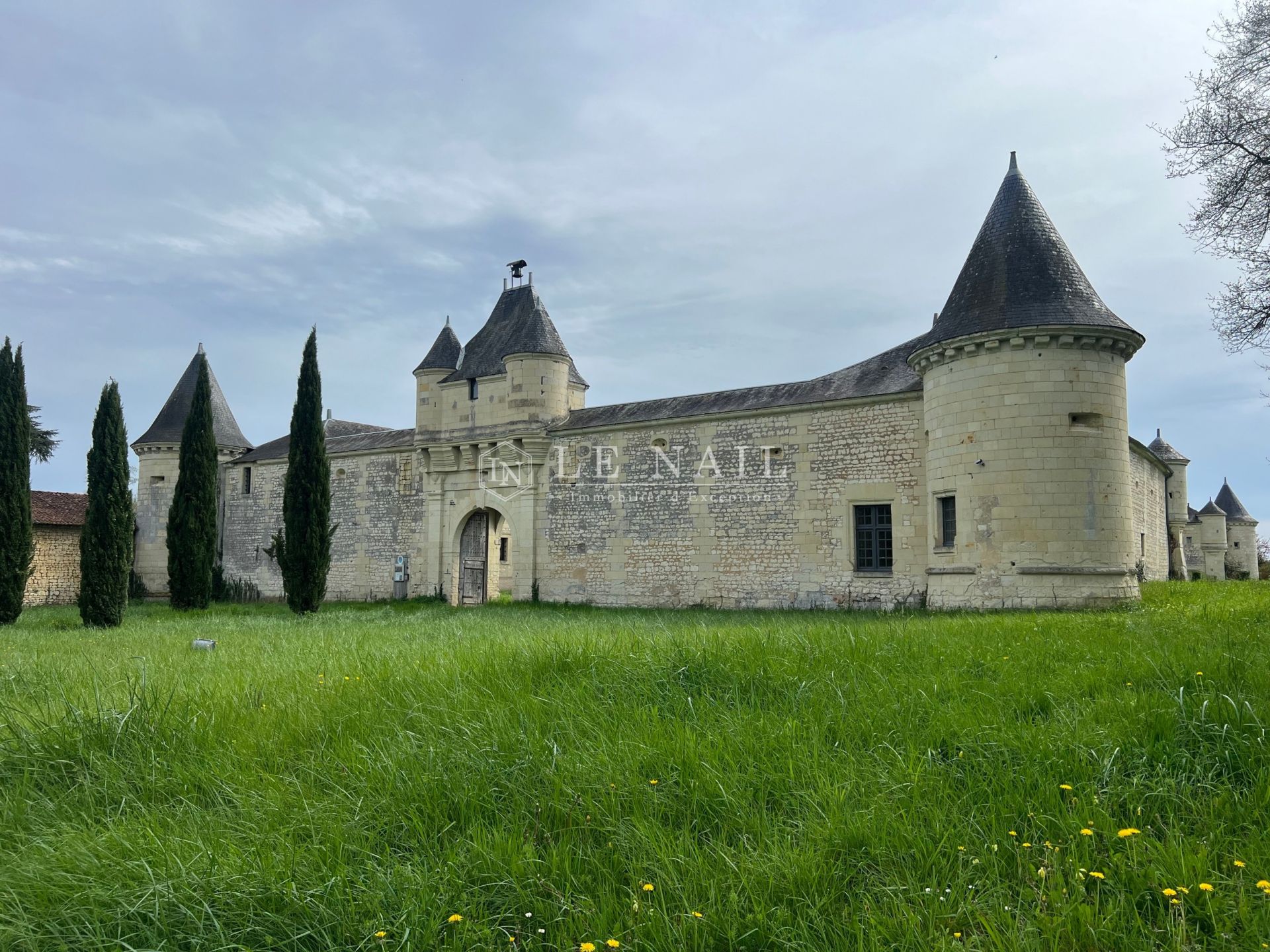 château 8 pièces en vente à LOUDUN (86200)