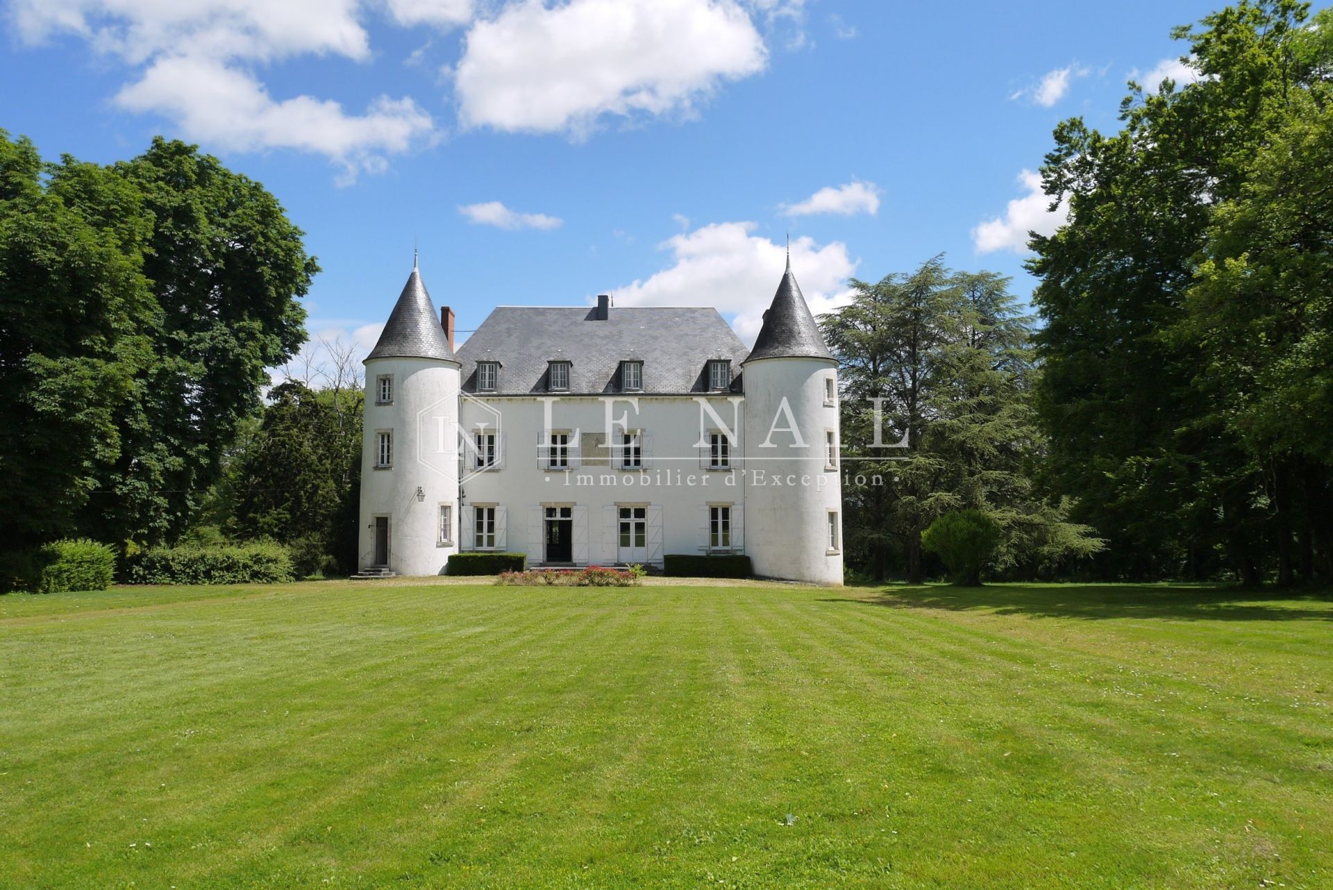 château 13 pièces en vente à BUZANCAIS (36500)