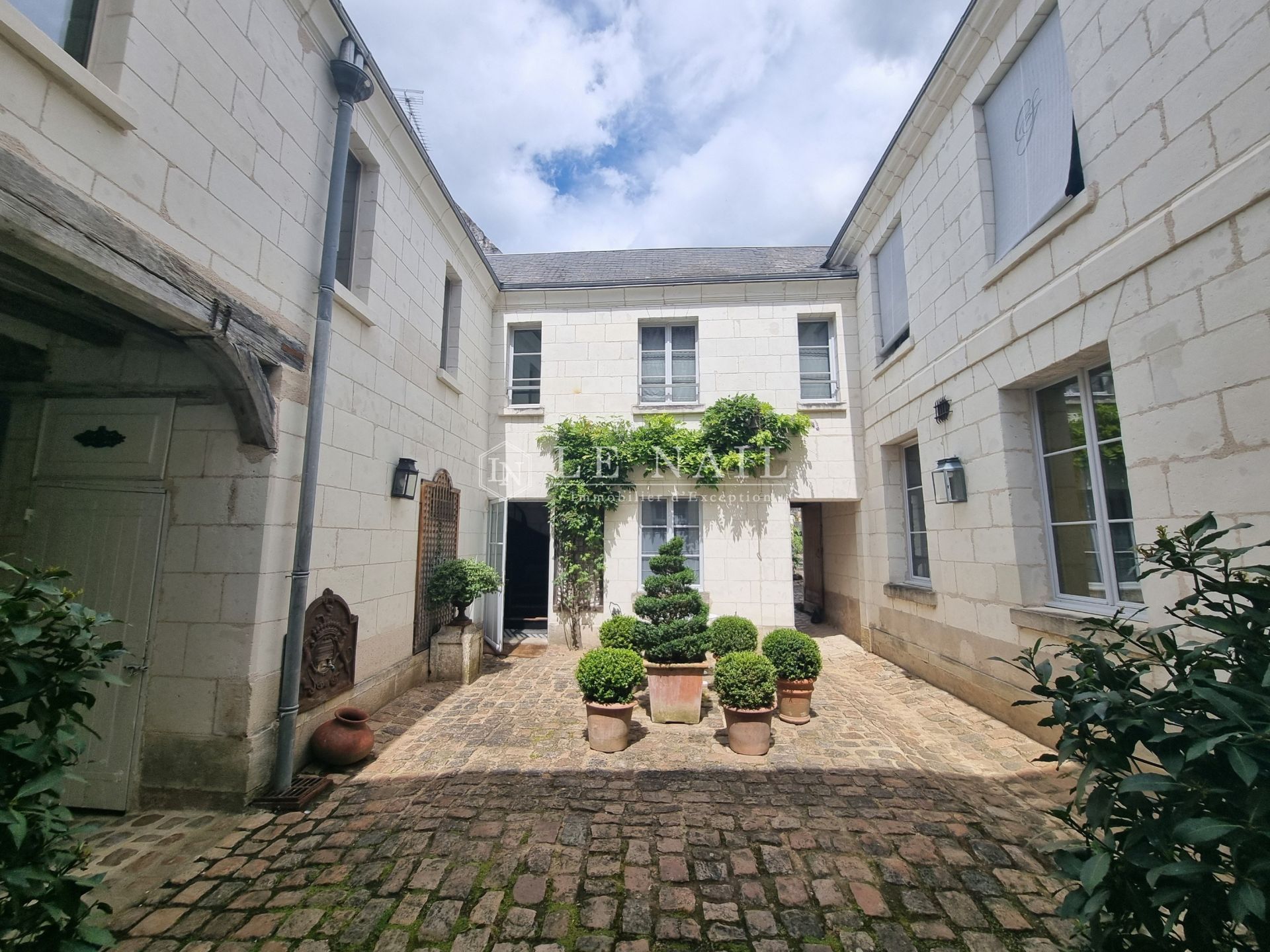 mansion (hôtel particulier) 11 rooms for sale on LOCHES (37600)