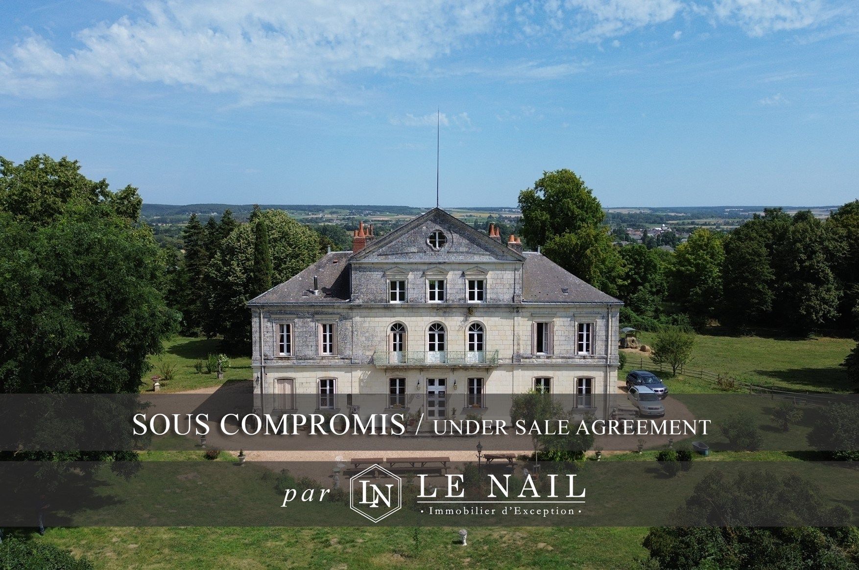 castle 20 rooms for sale on CHINON (37500)