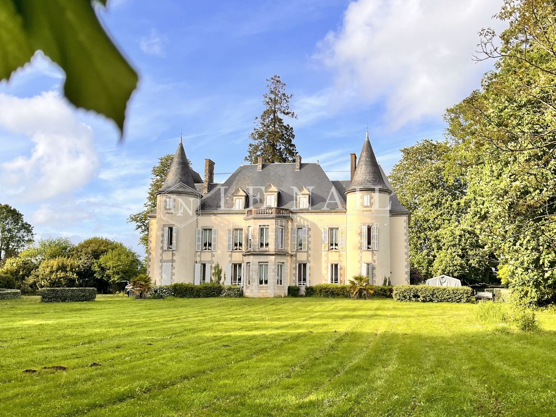 château 15 pièces en vente à LA ROCHE SUR YON (85000)