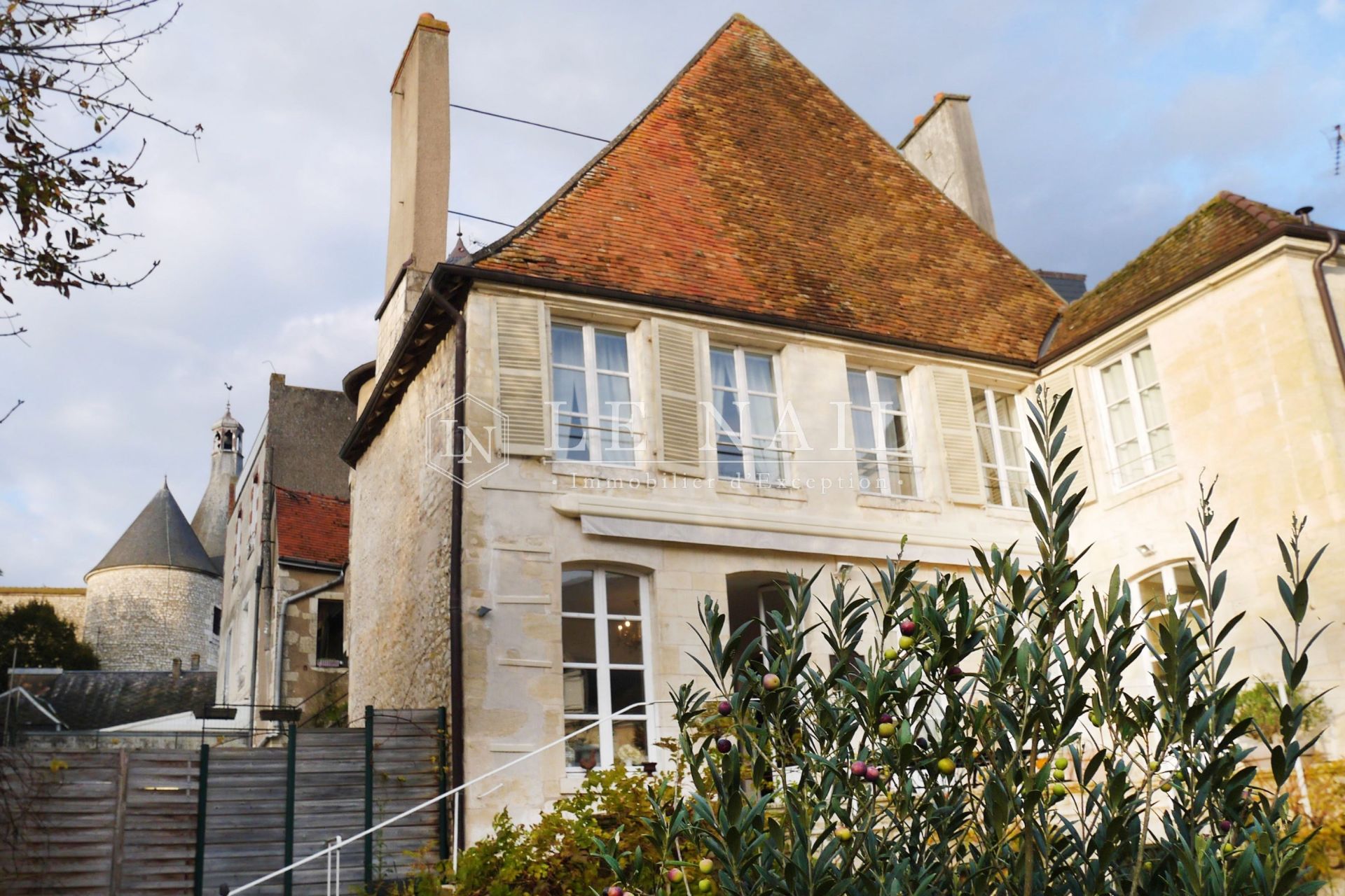 mansion (hôtel particulier) 9 rooms for sale on ISSOUDUN (36100)