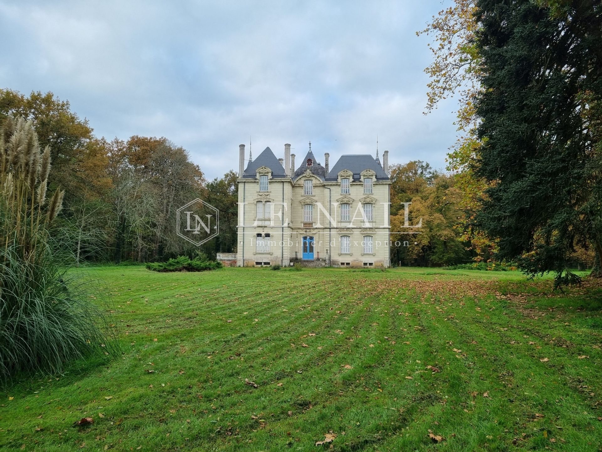 castle 19 rooms for sale on ANGERS (49000)