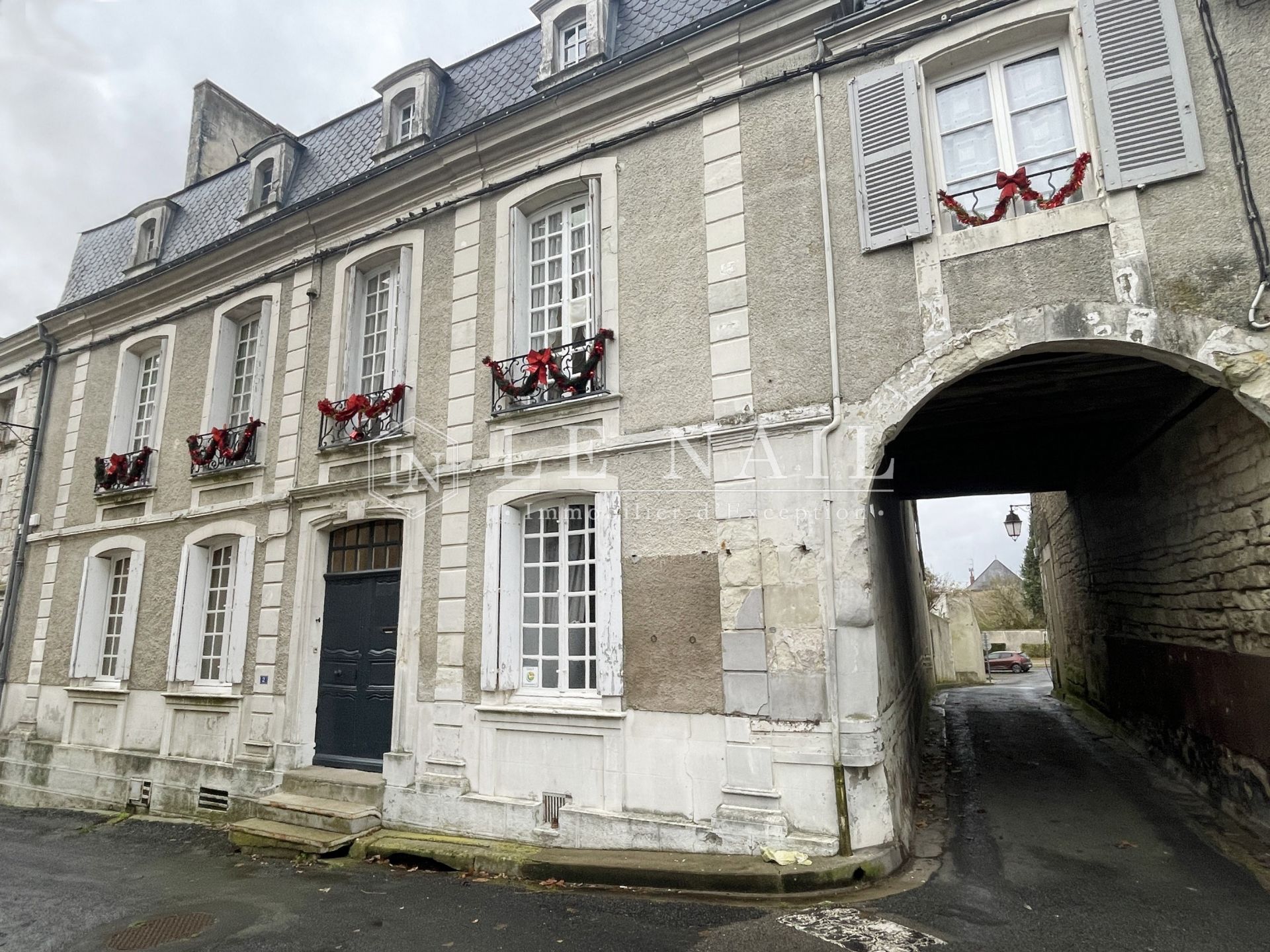 hôtel particulier 9 pièces en vente à MIREBEAU (86110)