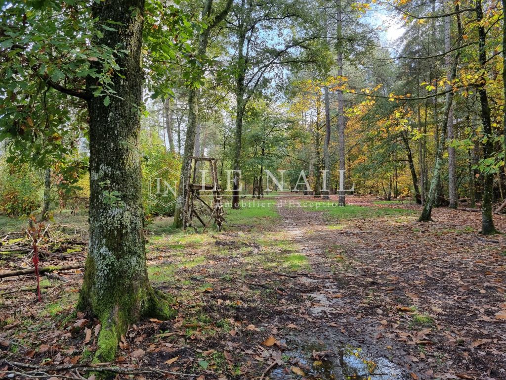 Domaine de chasse de 80 hectares en Sologne à vendre à PRESLY